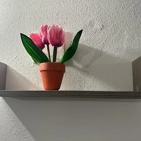 Papireto's Палермо